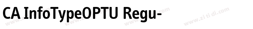 CA InfoTypeOPTU Regu字体转换